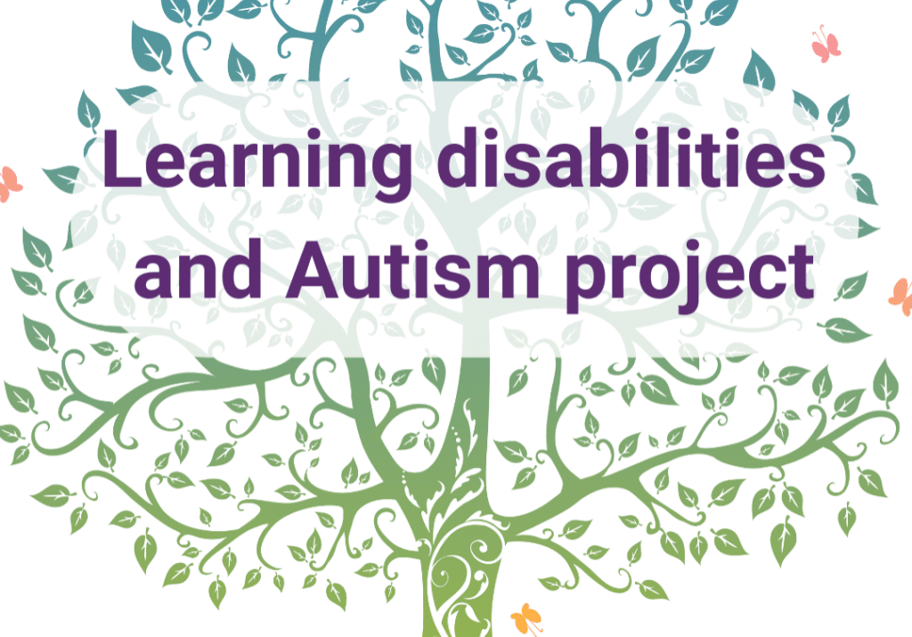 Learning disabilities and Autism Project (1) Learning disabilities and Autism Project (1)