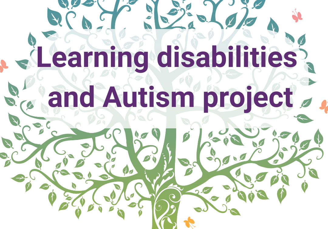 Learning disabilities and Autism Project (1)