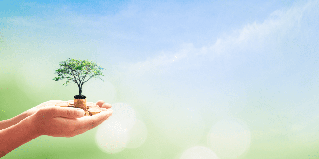 Hands holding a small tree in their hands.
